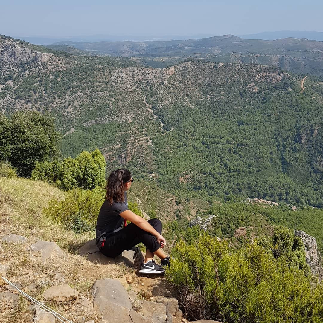صوفيا ديل