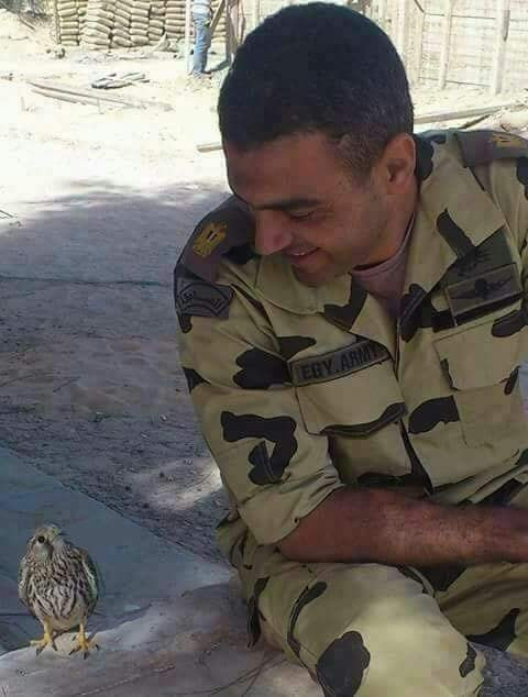 الشهيد أحمد المنسى