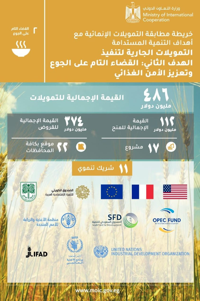 وزارة التعاون الدولى