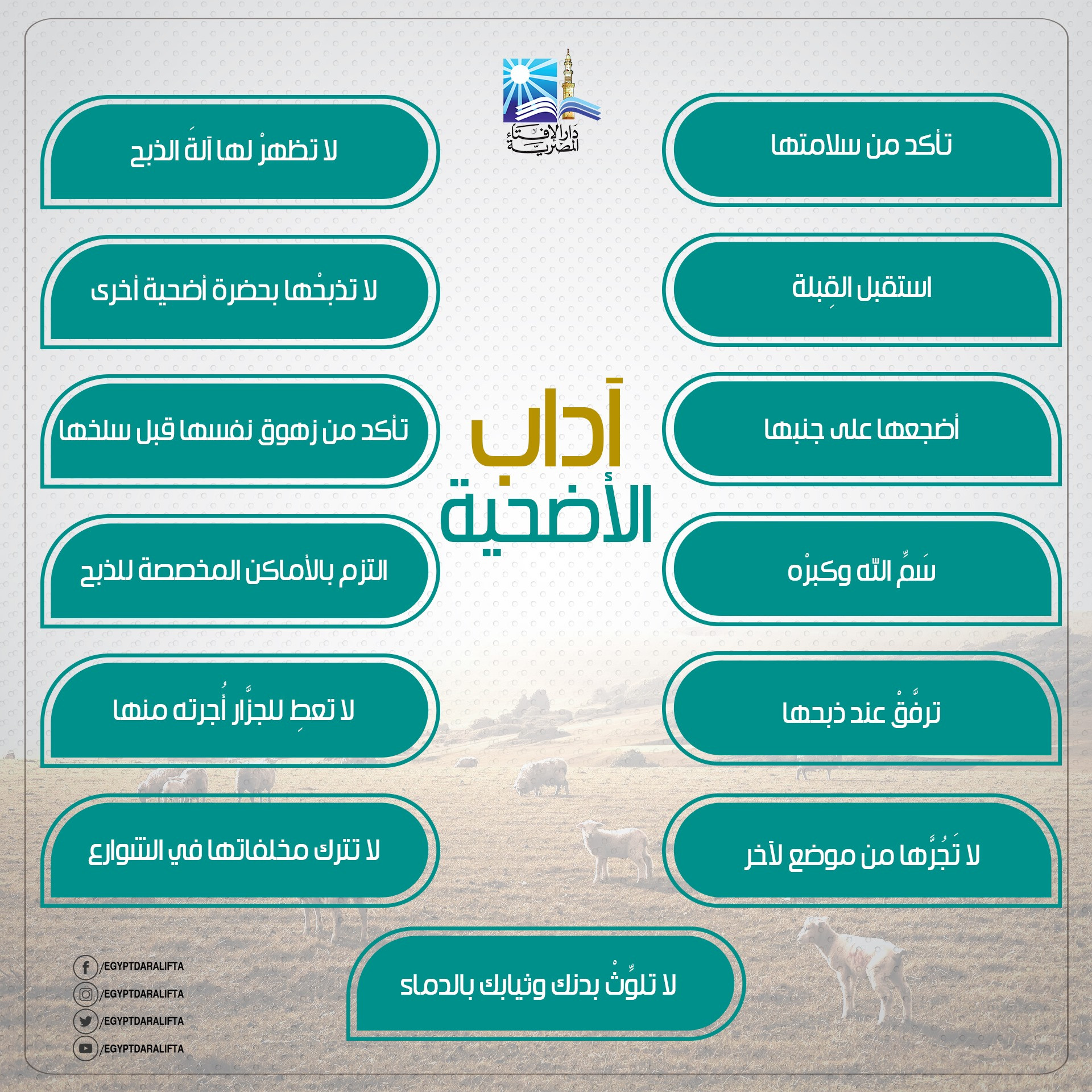 الأضحية