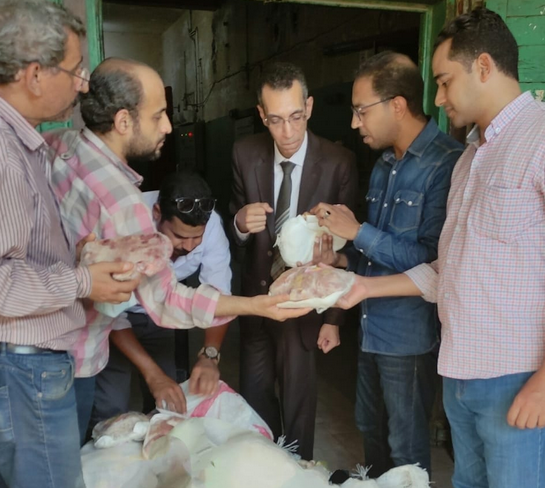 ضبط دواجن فاسدة