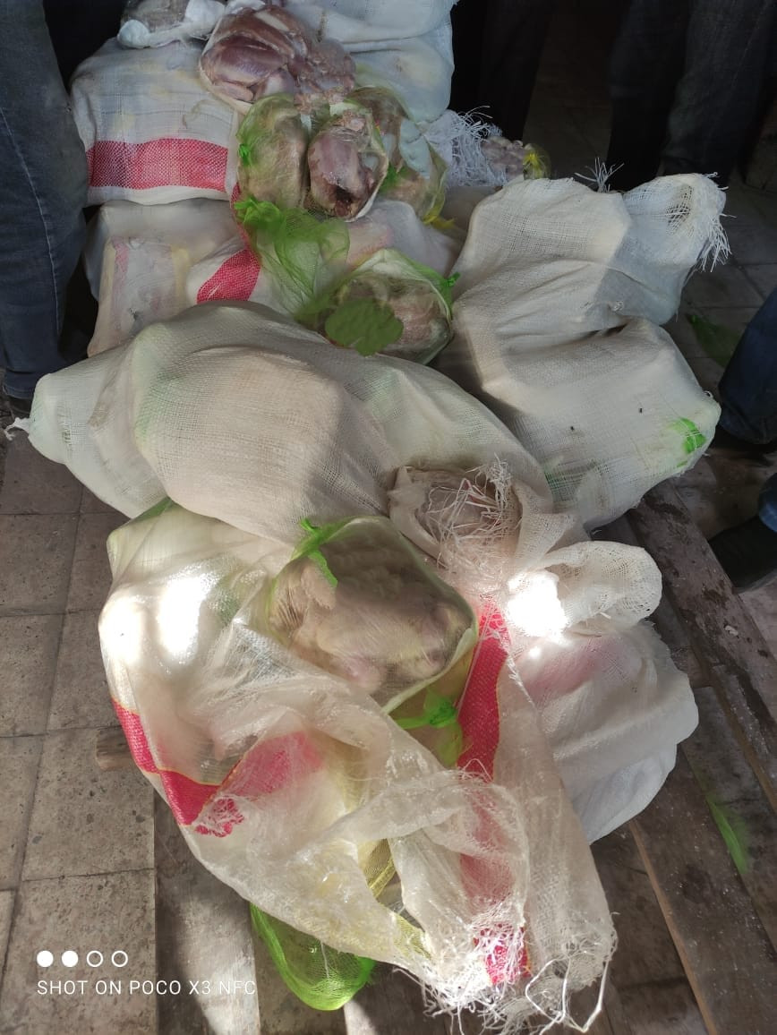 ضبط دواجن فاسدة