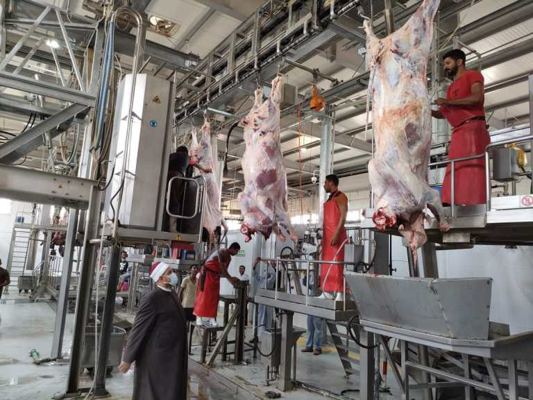 ذبح أضاحى مشروع الصكوك