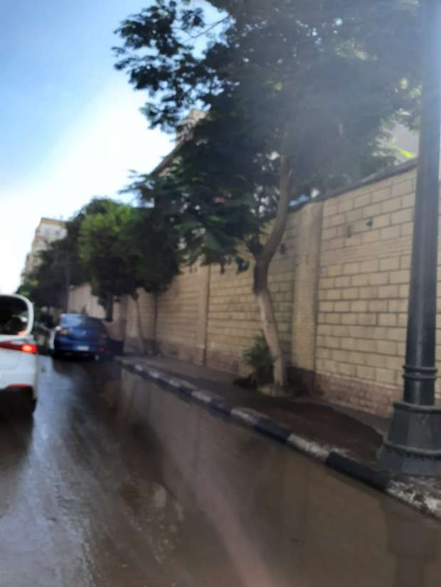 شارع قصر العينى