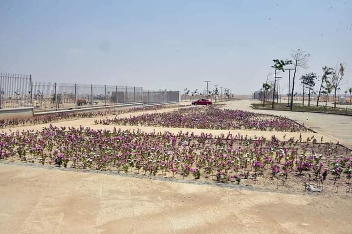 النهر الأخضر