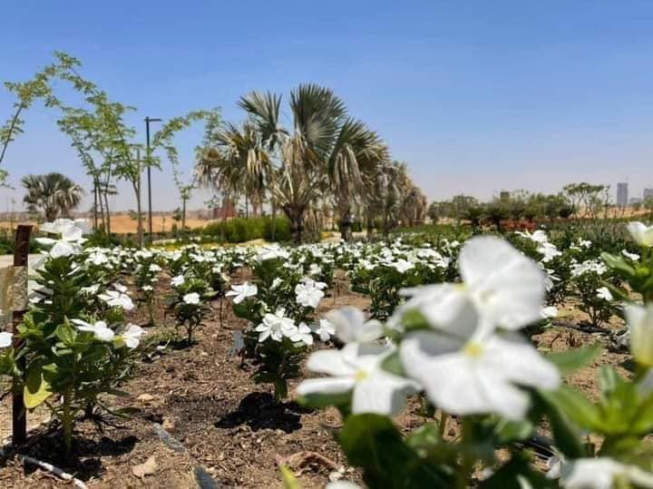 النهر الأخضر