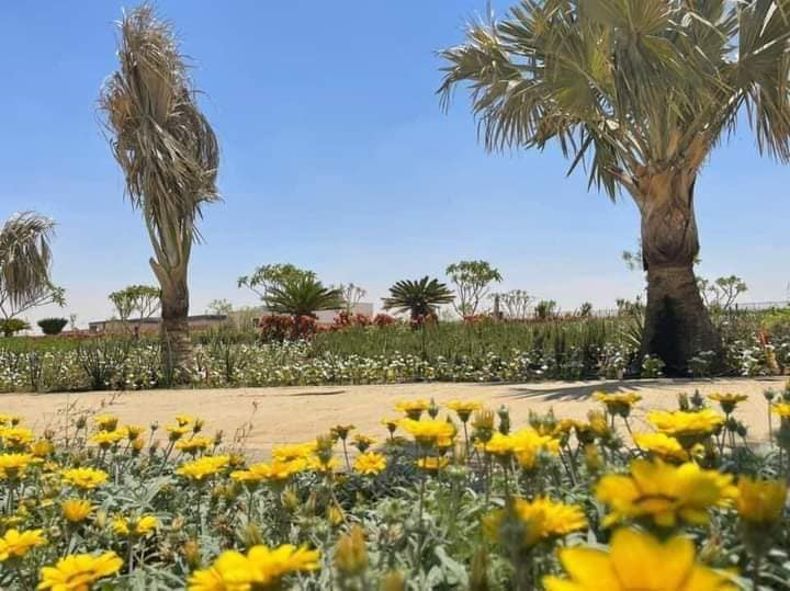 النهر الأخضر