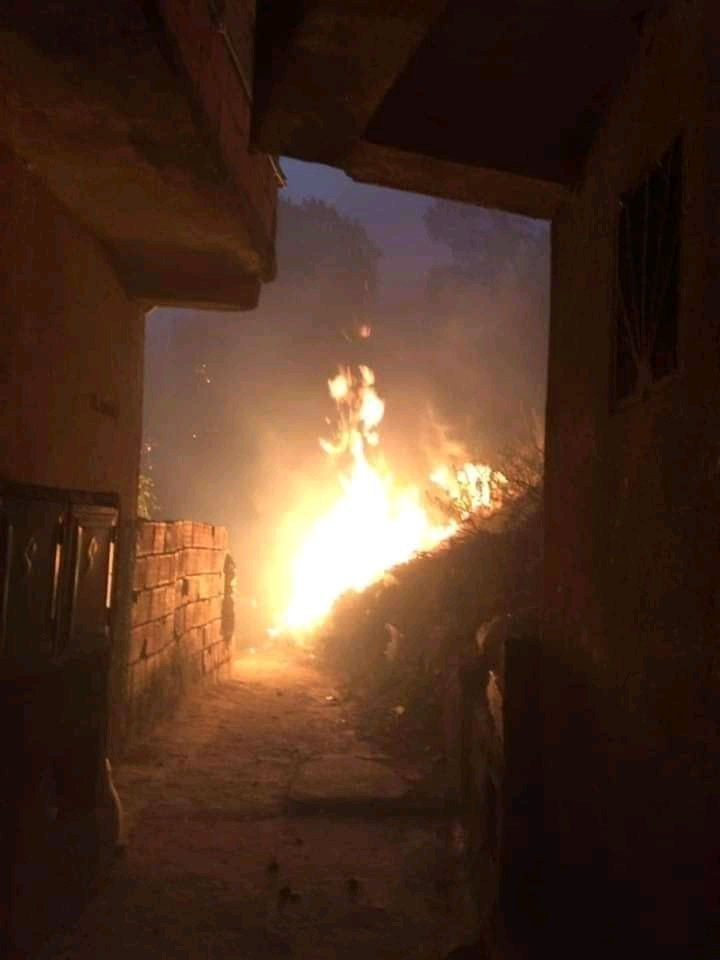 حرائق تيزى وزو الجزائرية
