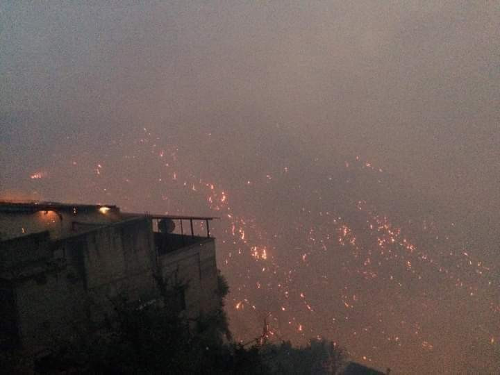 حرائق تيزى وزو الجزائرية