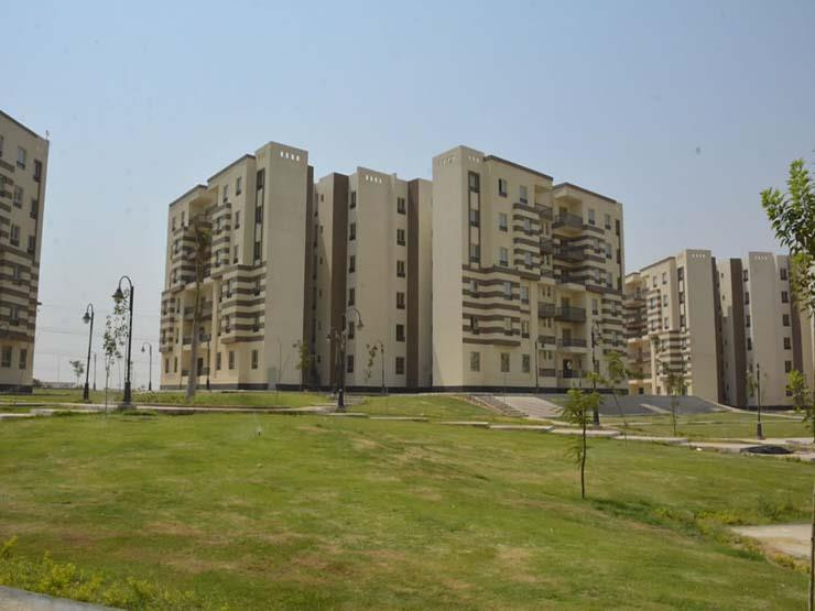 سن العجوز