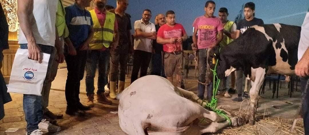 هدية الرئيس