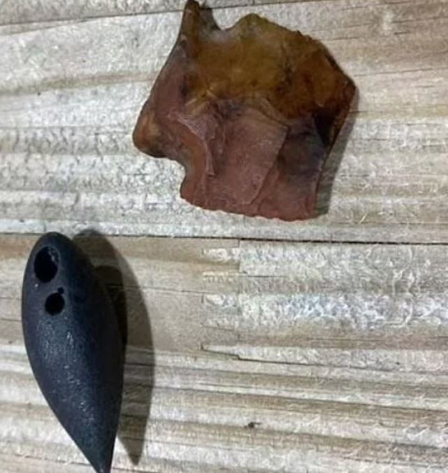 كنز فى معدة تمساح