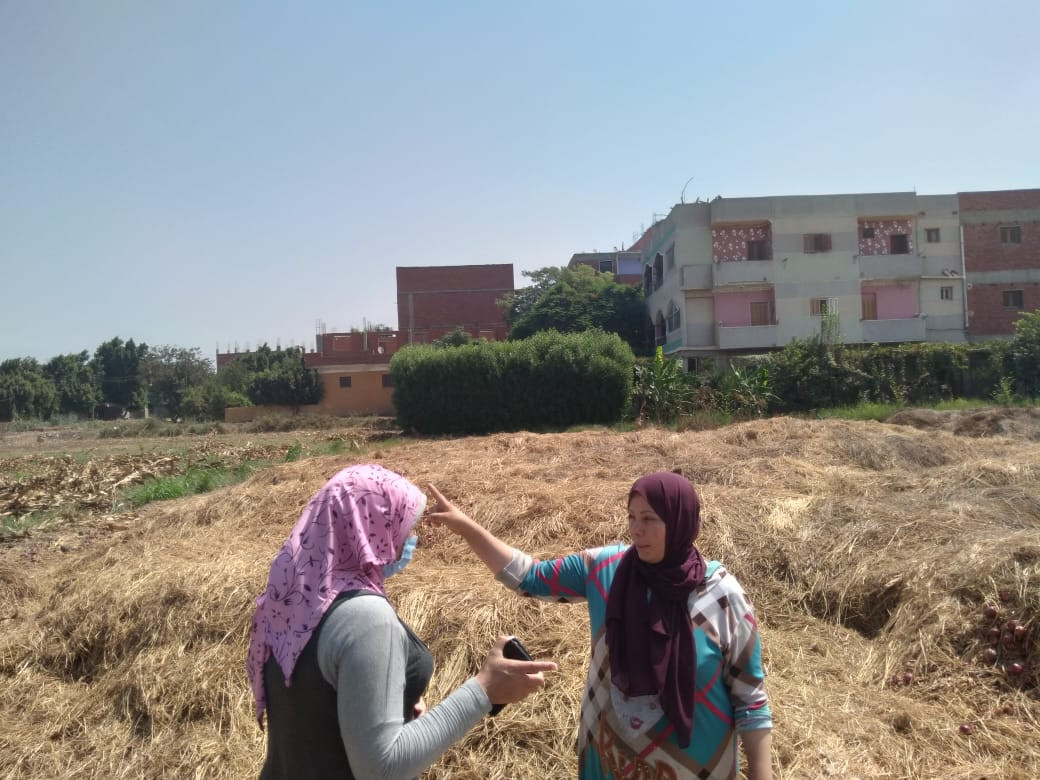 وزارة البيئة