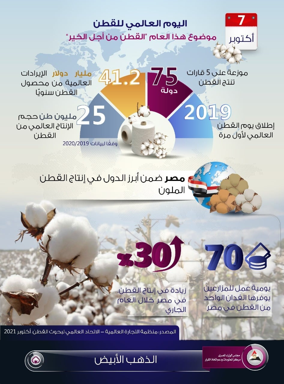إنفوجراف