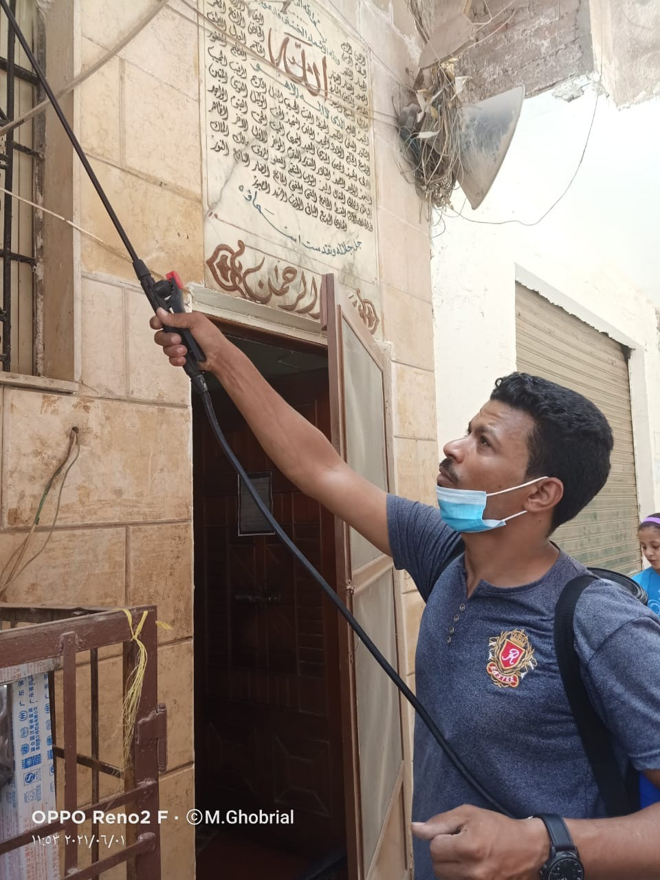 تعقيم مدارس الجيزة