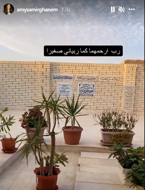 إيمى سمير غانم