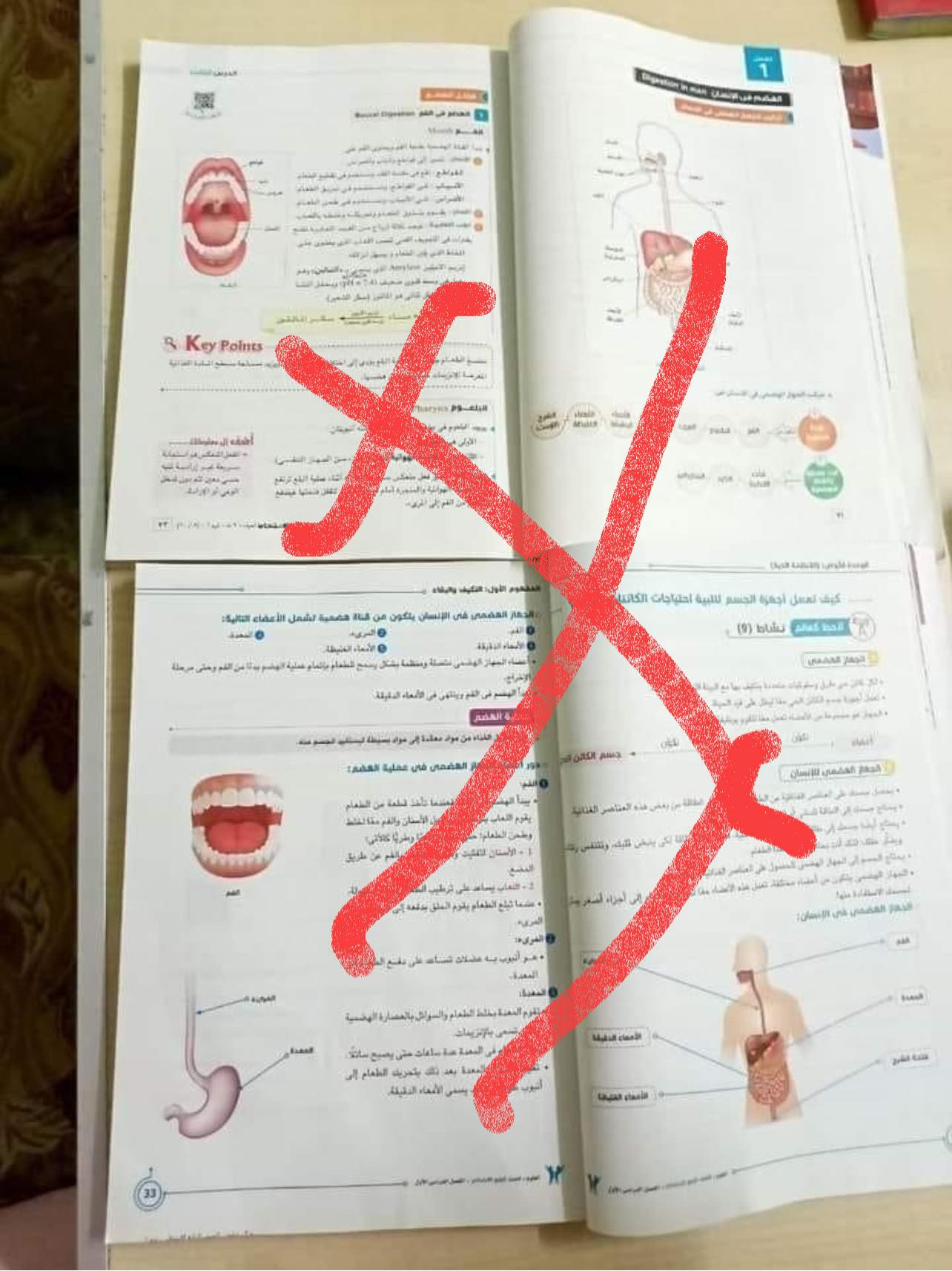 طارق شوقى