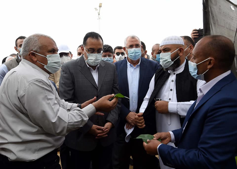 مدبولى يوجه بتوطين صناعة الحرير فى مصر