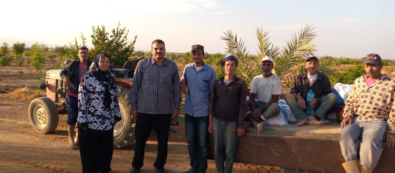 بحوث الصحراء