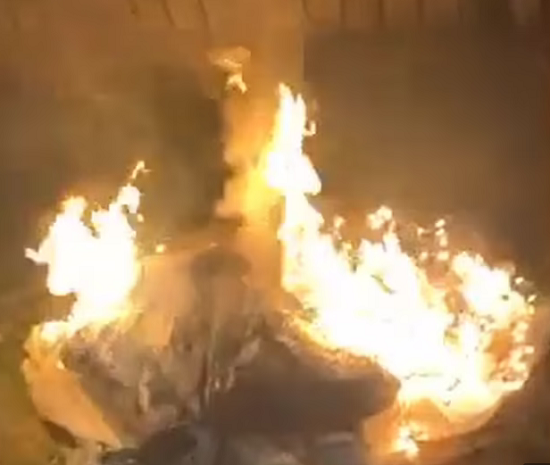 حفل الزفاف