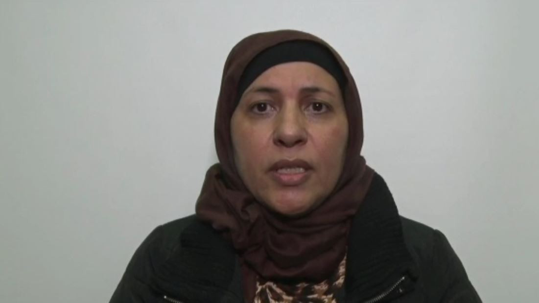 ميرفت محمد على