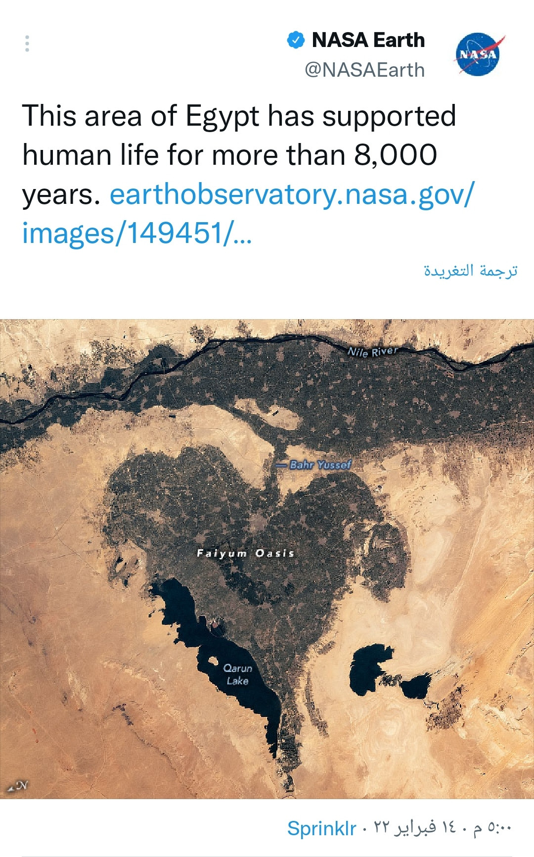 تغريدة