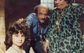 حسام الدين مصطفى