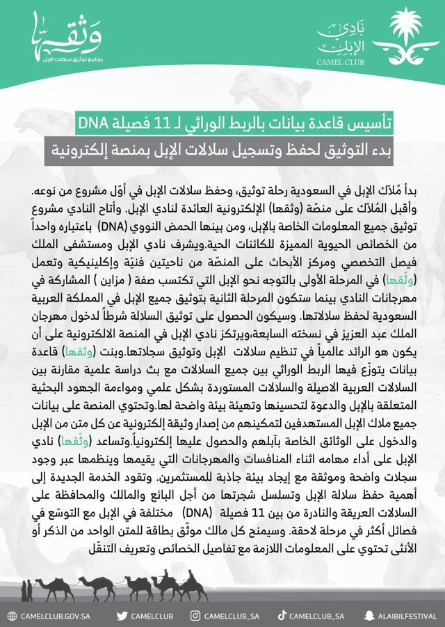 بطاقات شخصية للإبل فى السعودية