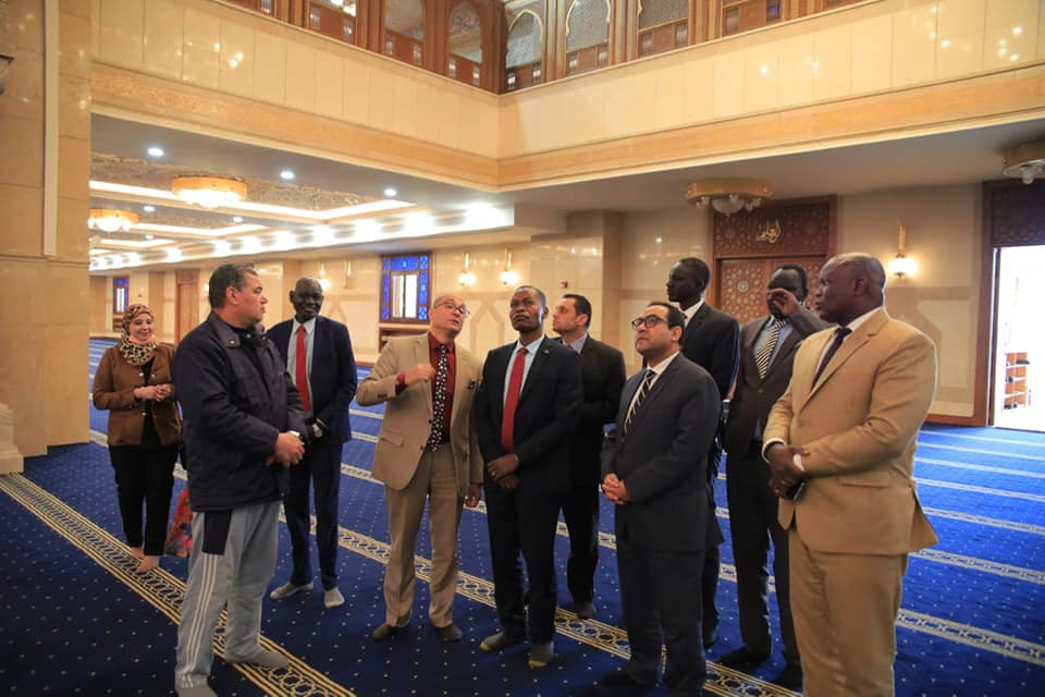 التنظيم والإدارة