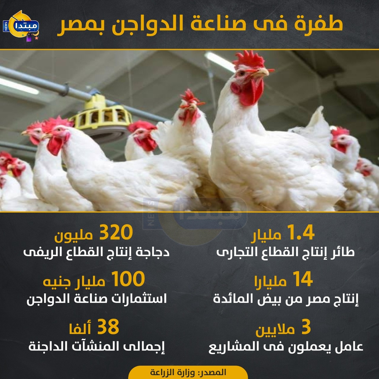طفرة فى صناعة الدواجن بمصر