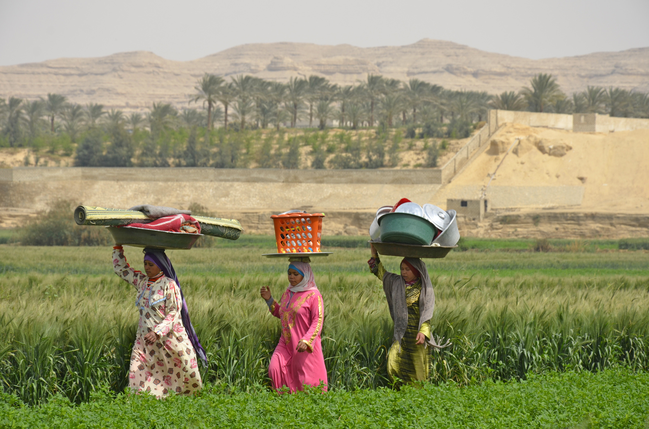 تنمية المرأة الريفية