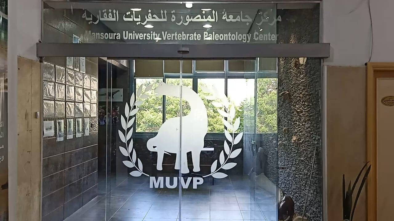 جامعة المنصورة