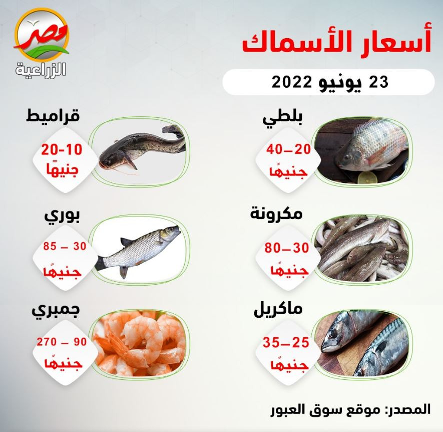 أسعار الأسماك