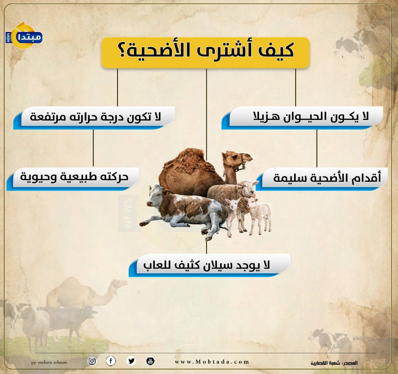 شروط اختيار الأضحية