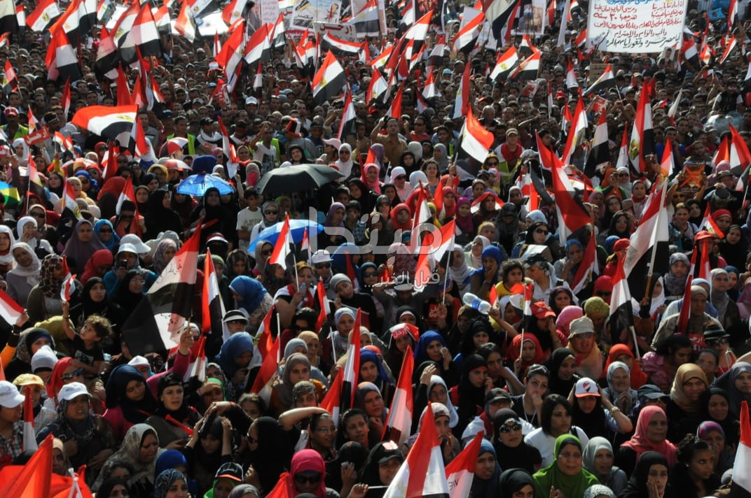 ثورة 30 يونيو