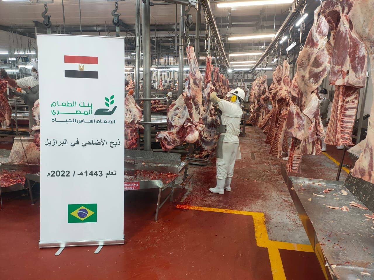 التحالف الوطنى للعمل الأهلى التنموى