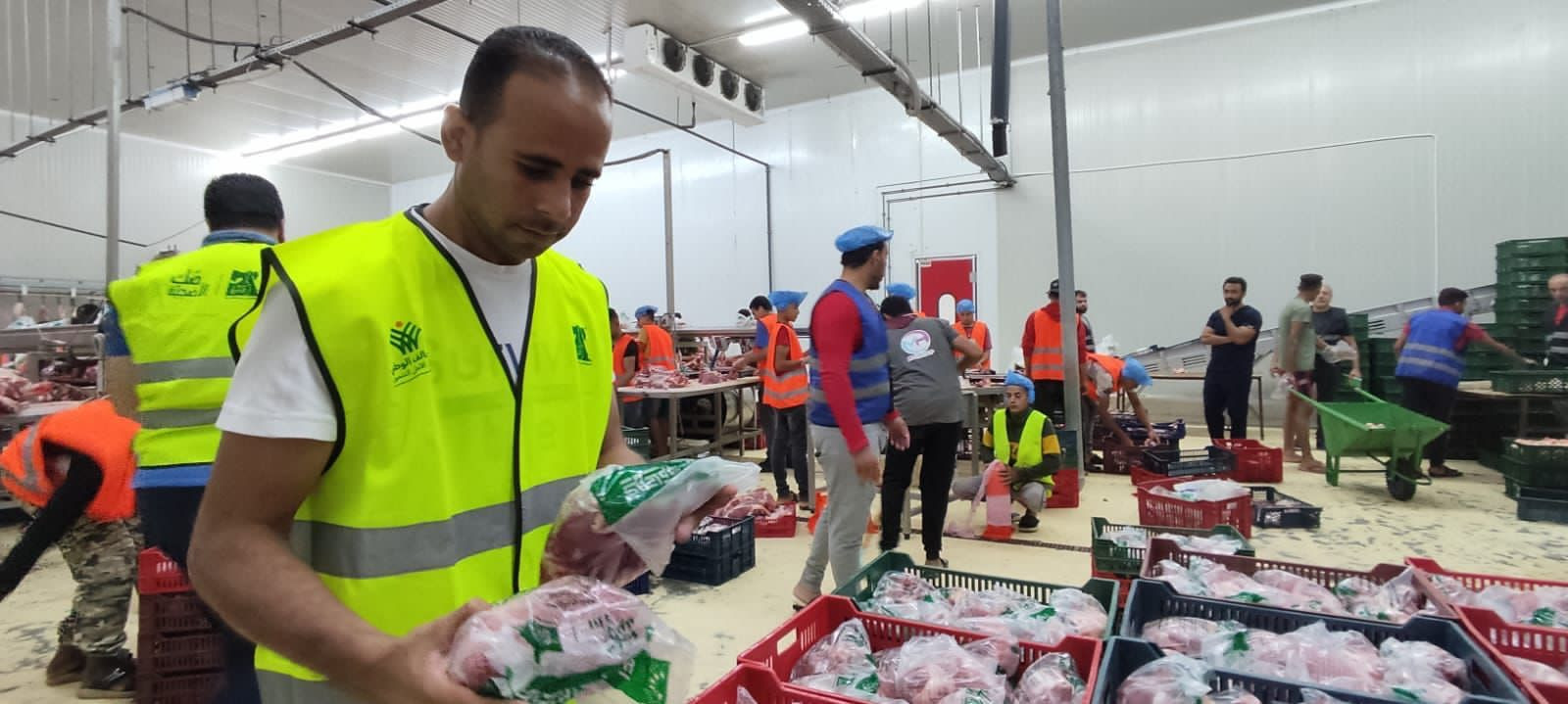 التحالف الوطنى للعمل الأهلى التنموى