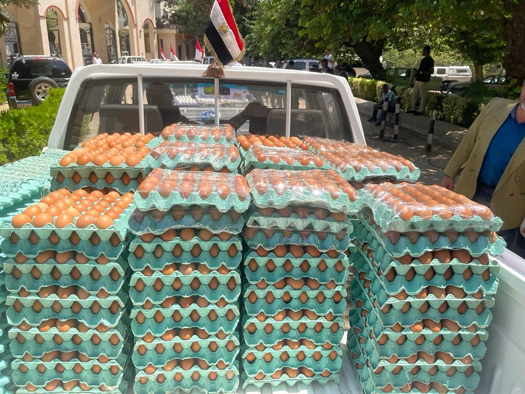 سعر البيض