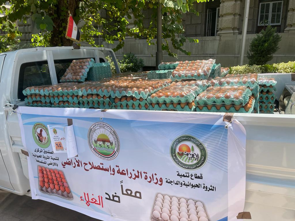 سعر البيض