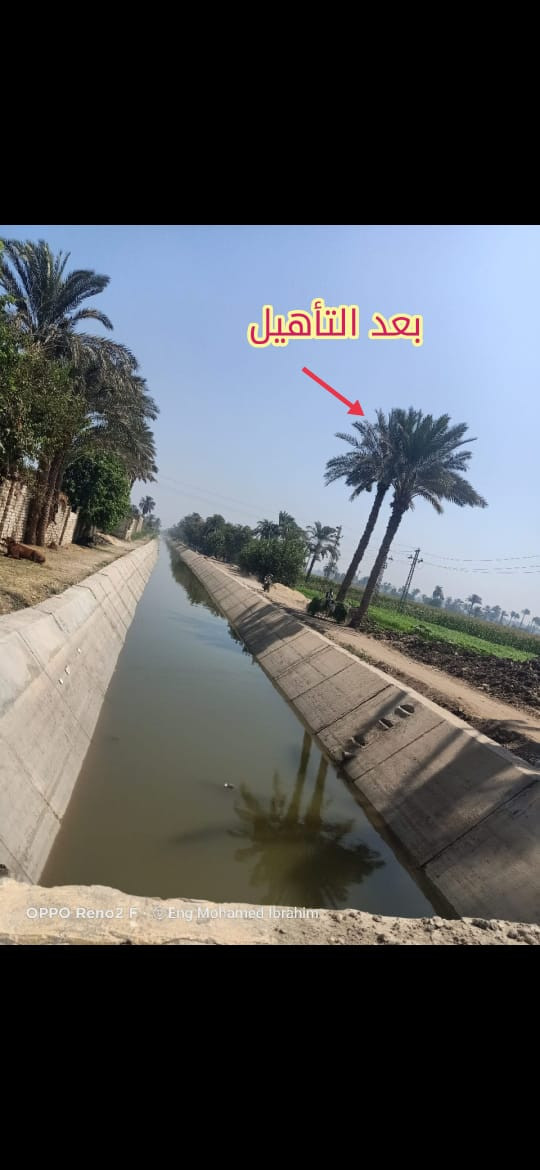 صور اللقاء