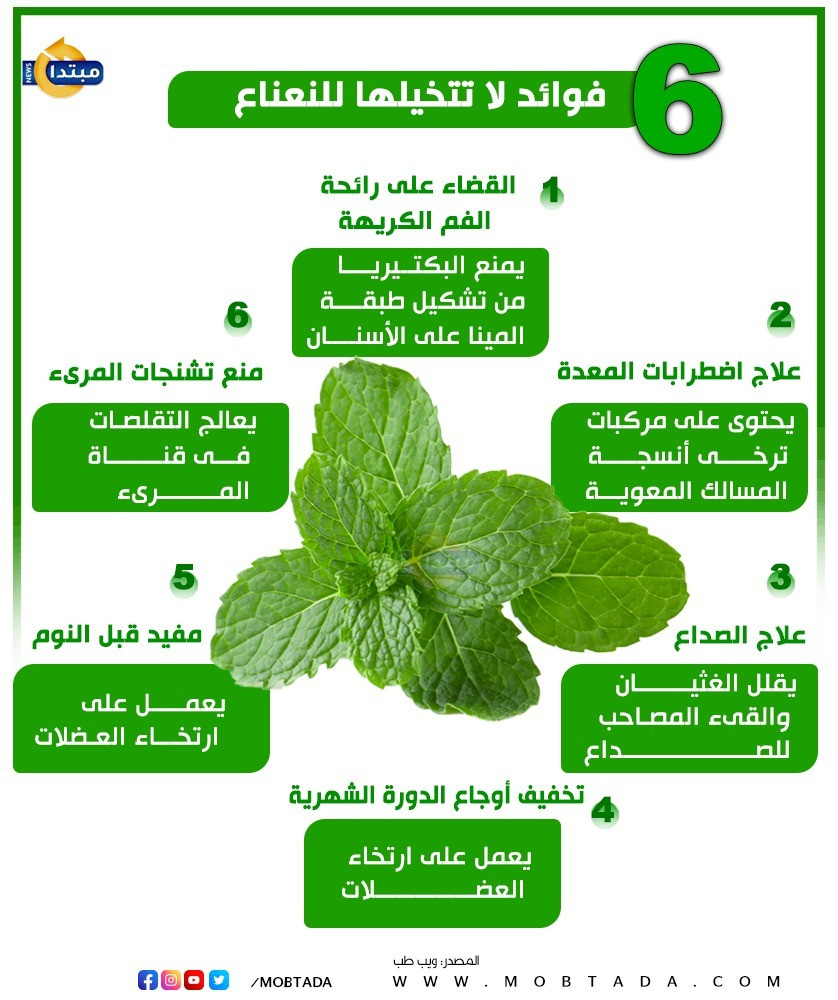 6 فوائد لا تتخيلها للنعناع (إنفوجراف)