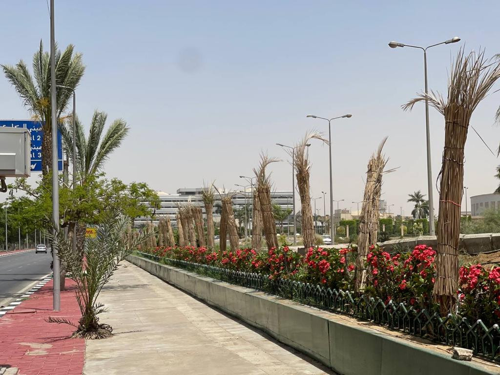 مطار القاهرة