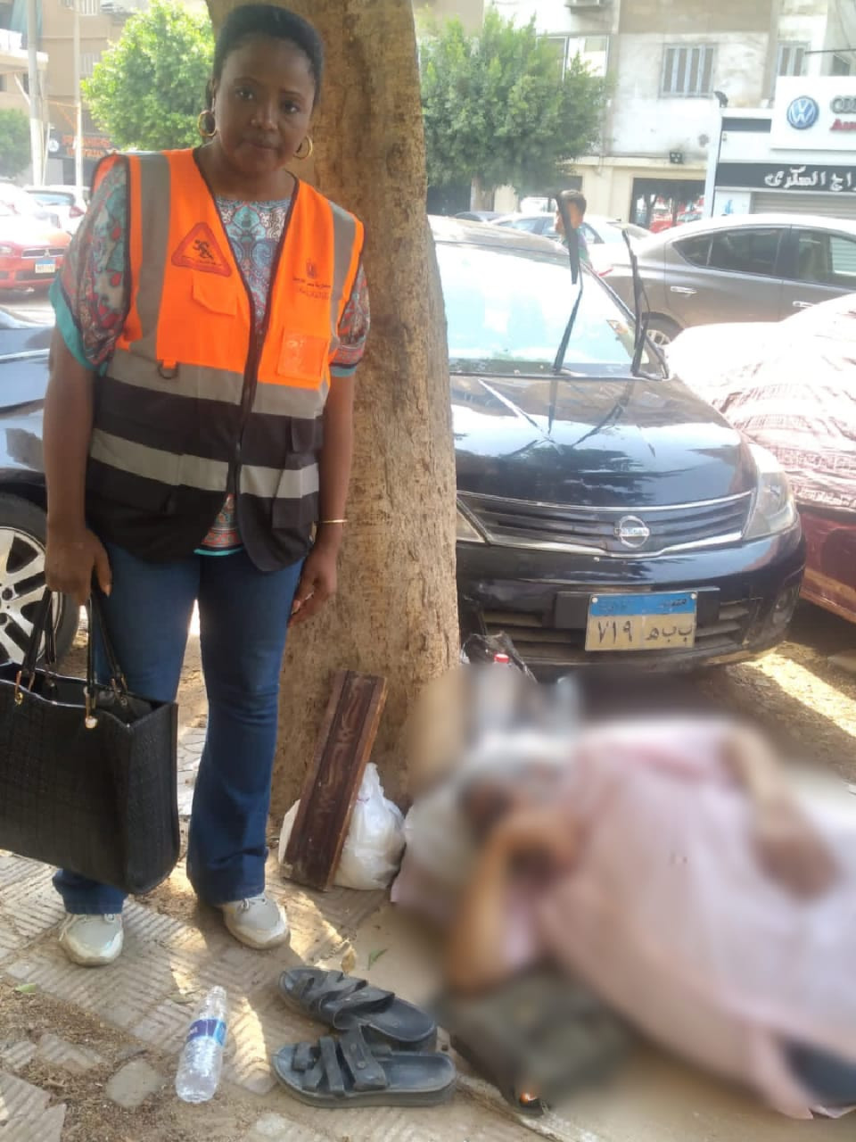 صور اللقاء