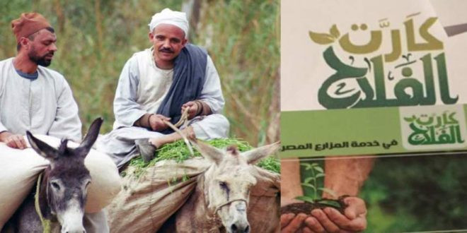 وزارة الزراعة تعلن: 5 ملايين فلاح يستفيدون من كارت الفلاح في مصر