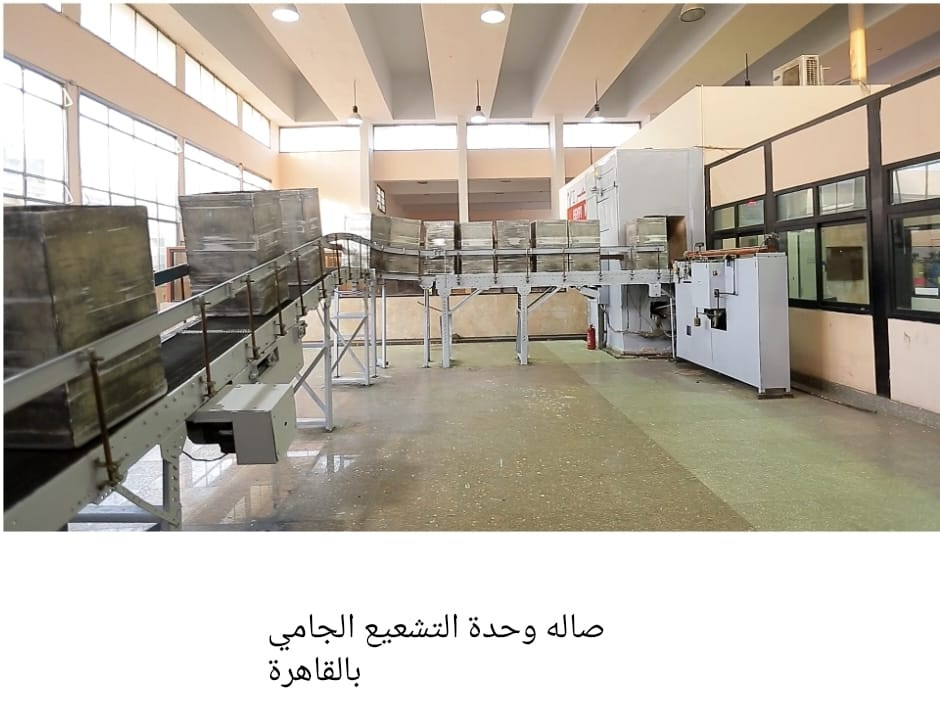 هيئة الطاقة الذرية