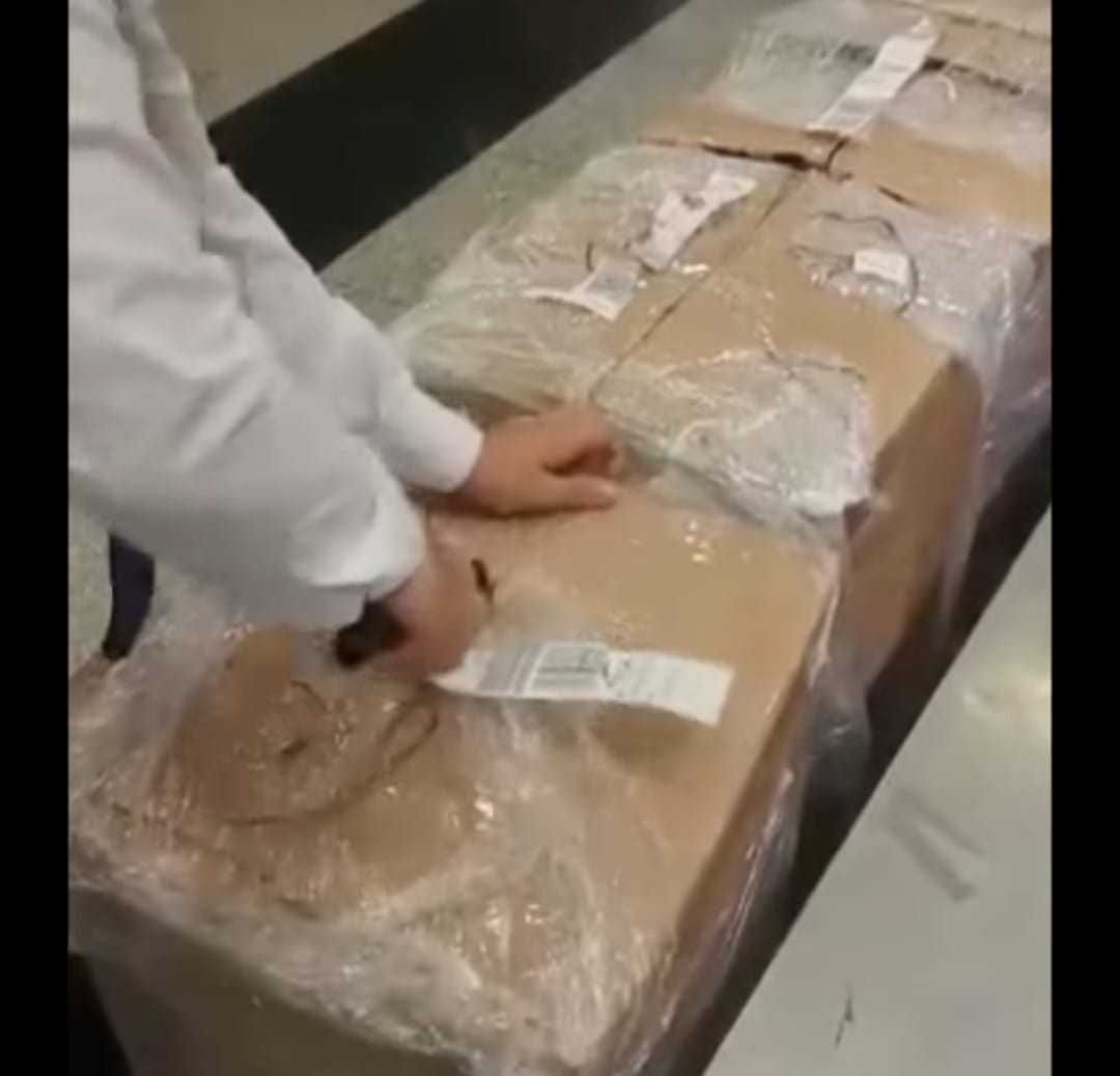 جمارك مطار القاهرة
