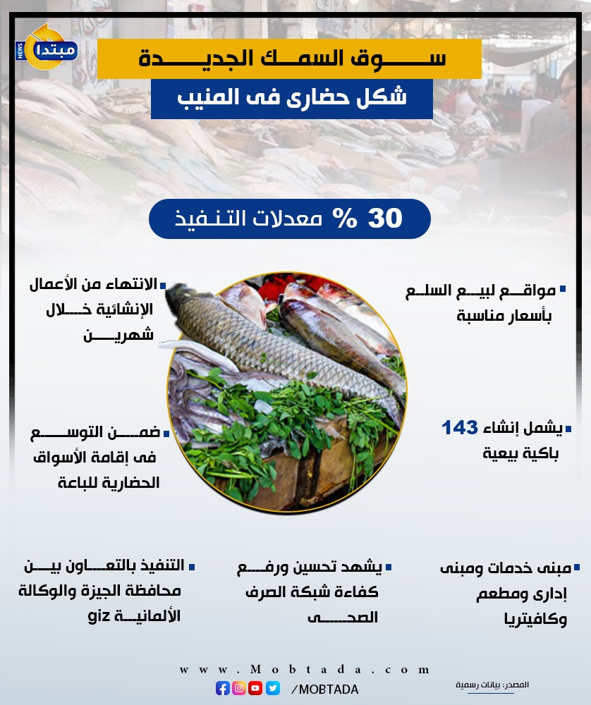 الإنفو