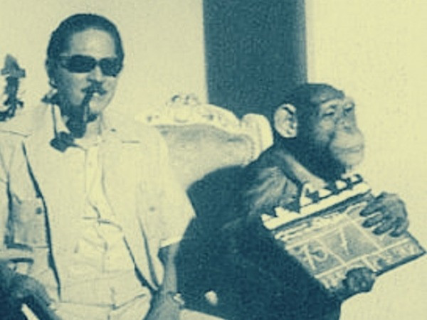 نيازى مصطفى