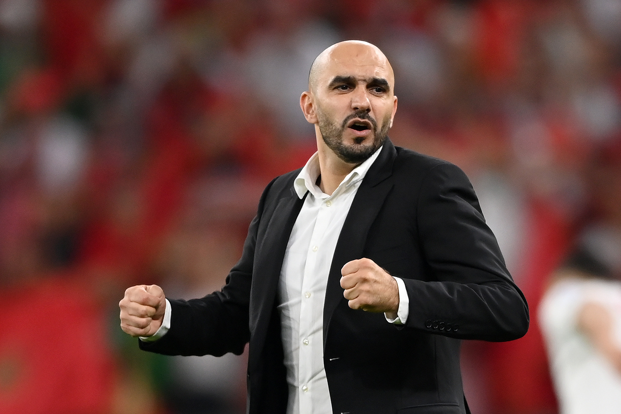 تقارير: الركراكي المرشح الأقوى لقيادة المنتخب السعودي في المونديال