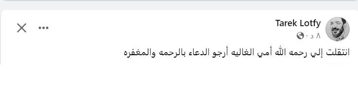طارق لطفى&nbsp;